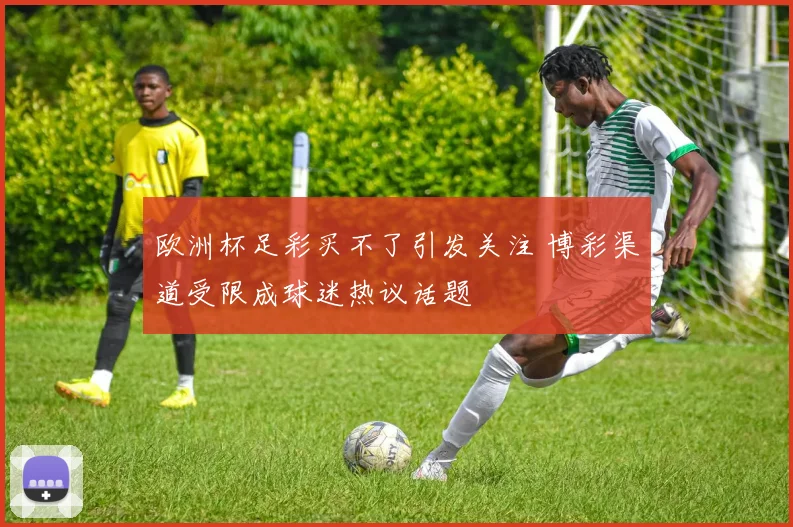 欧洲杯足彩买不了引发关注 博彩渠道受限成球迷热议话题