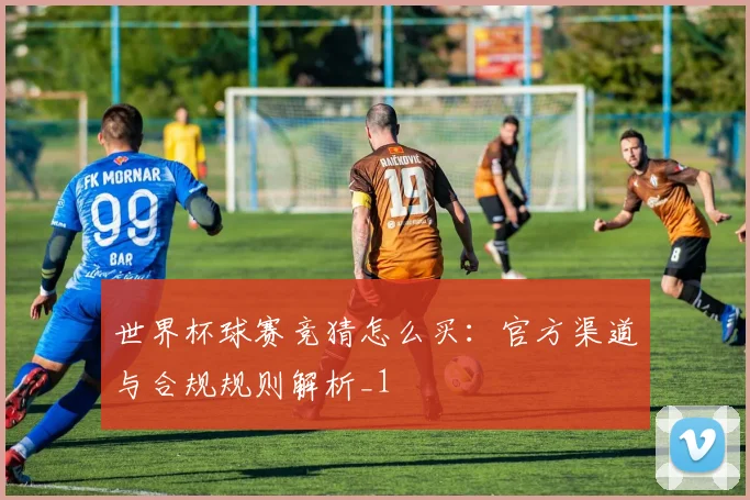 世界杯球赛竞猜怎么买：官方渠道与合规规则解析_1