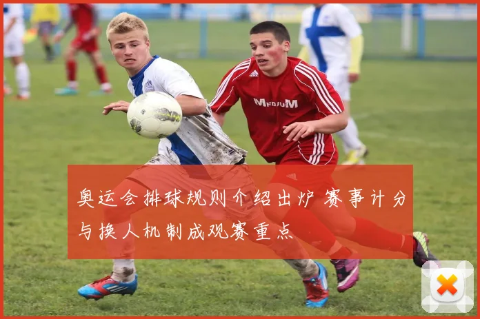 奥运会排球规则介绍出炉 赛事计分与换人机制成观赛重点