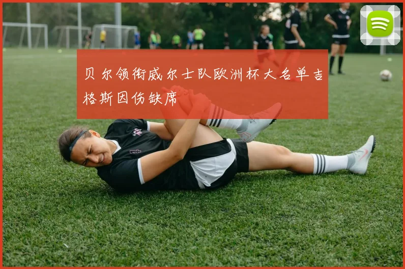 贝尔领衔威尔士队欧洲杯大名单吉格斯因伤缺席